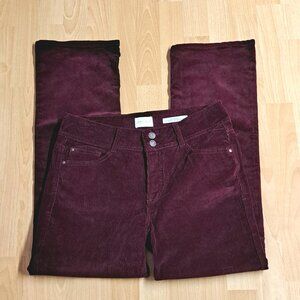 Angels Everflex Curvy Bootcut Corduroy Jeans with Stretch